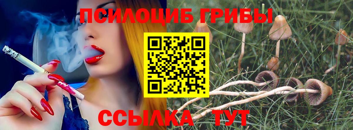 Осинники  Псилоцибиновые грибы GOLDEN TEACHER  Вход с VPN  Галлюциногенные грибы мухоморы 