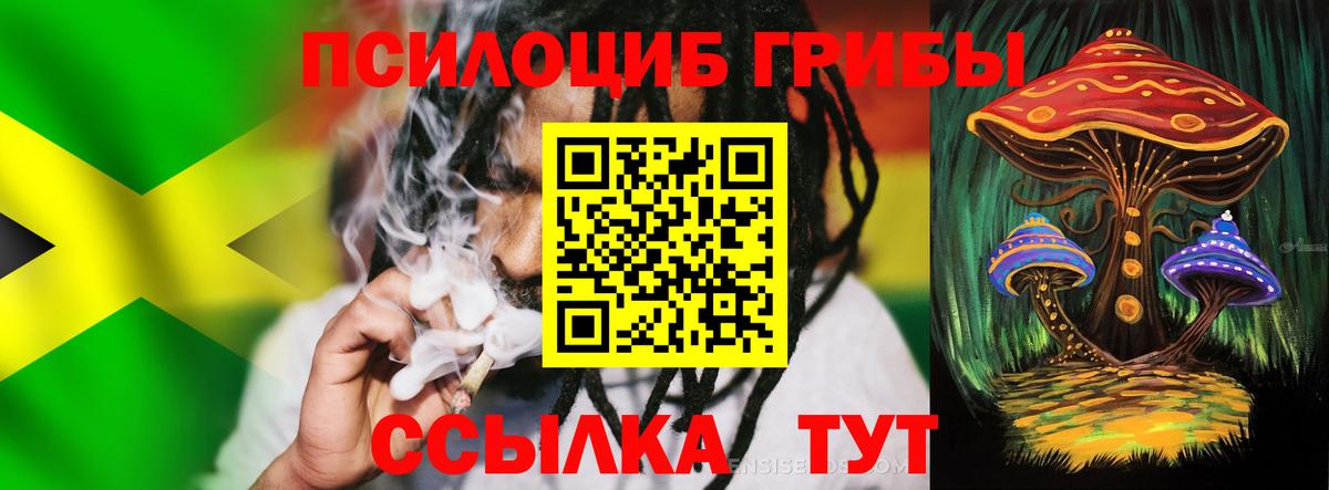 Галлюциногенные грибы Psilocybe Осинники